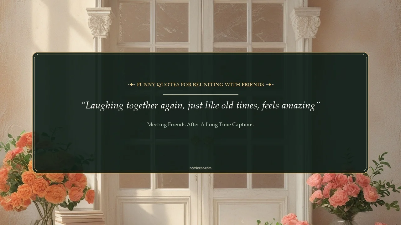 Funny Lines for Meeting Friends After a Long Time - Meeting Friends After a Long Time Captions