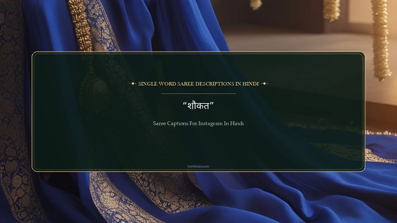One Word Saree Lines for Instagram in Hindi - Saree Captions for Instagram in Hindi