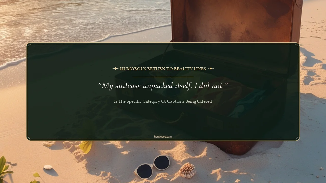 Funny Vacation Ending Lines - is the specific category of captions being offered