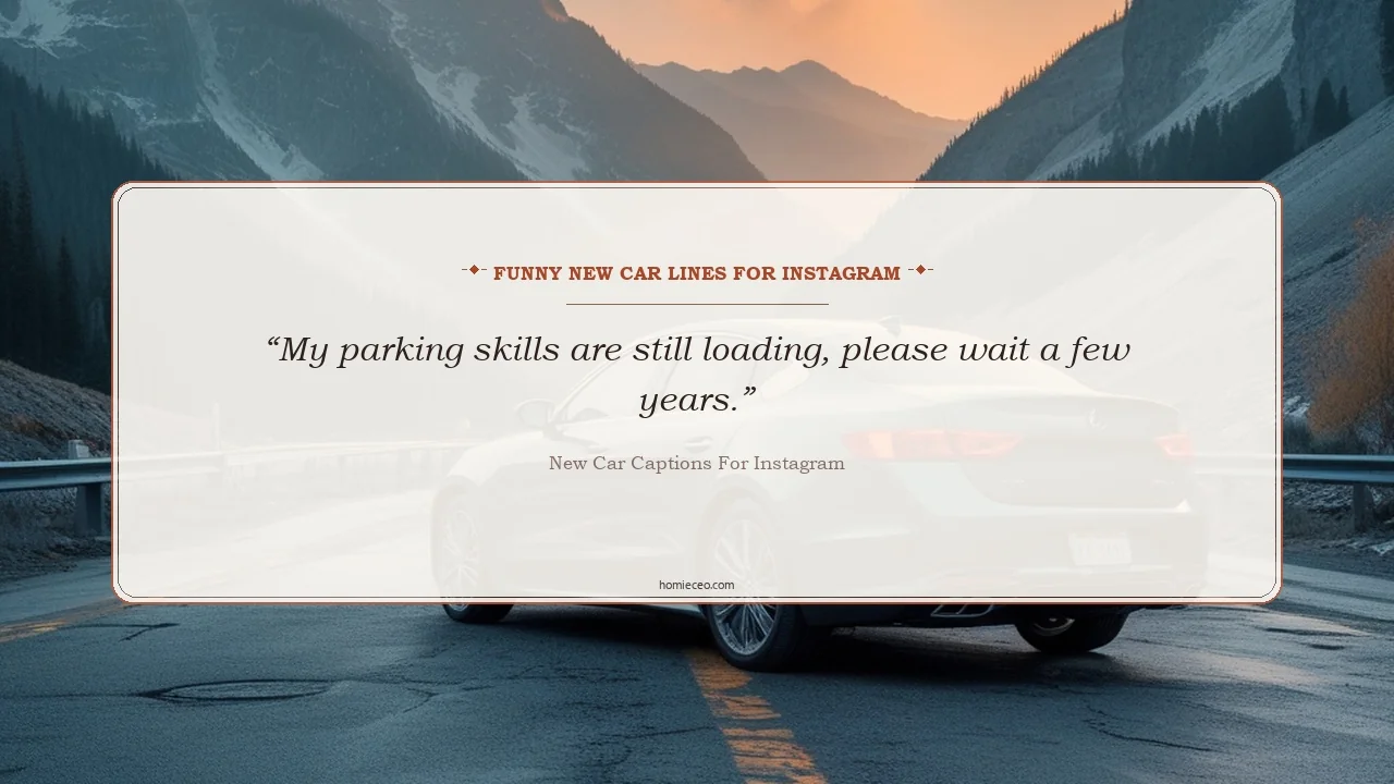 Funny New Car Lines for Instagram - New car captions for Instagram