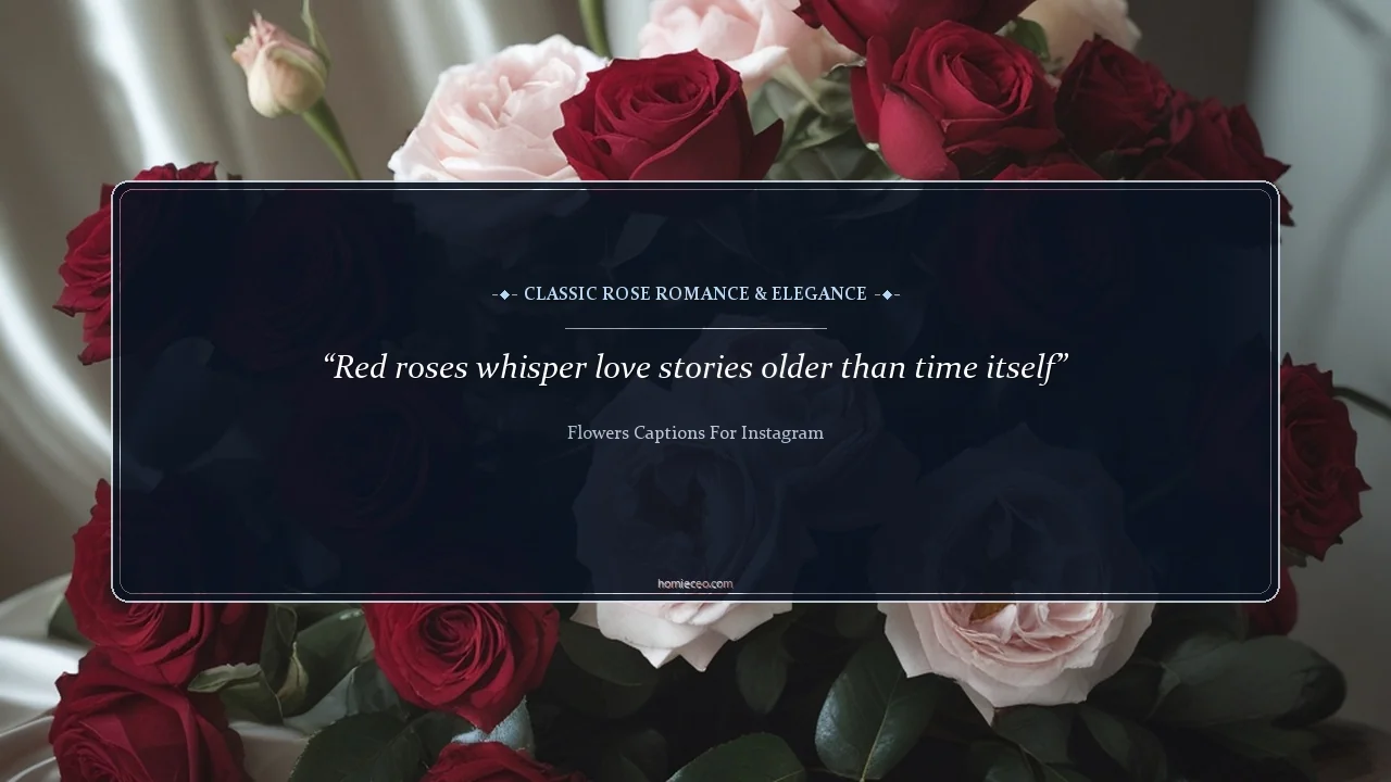 Beautiful Rose Flower Quotes & Lines - Flowers Captions for Instagram