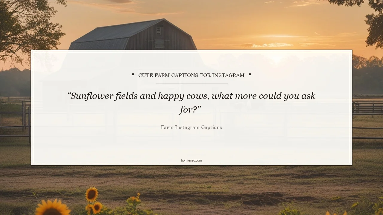 Cute Farm Quotes for Instagram - Farm Instagram Captions