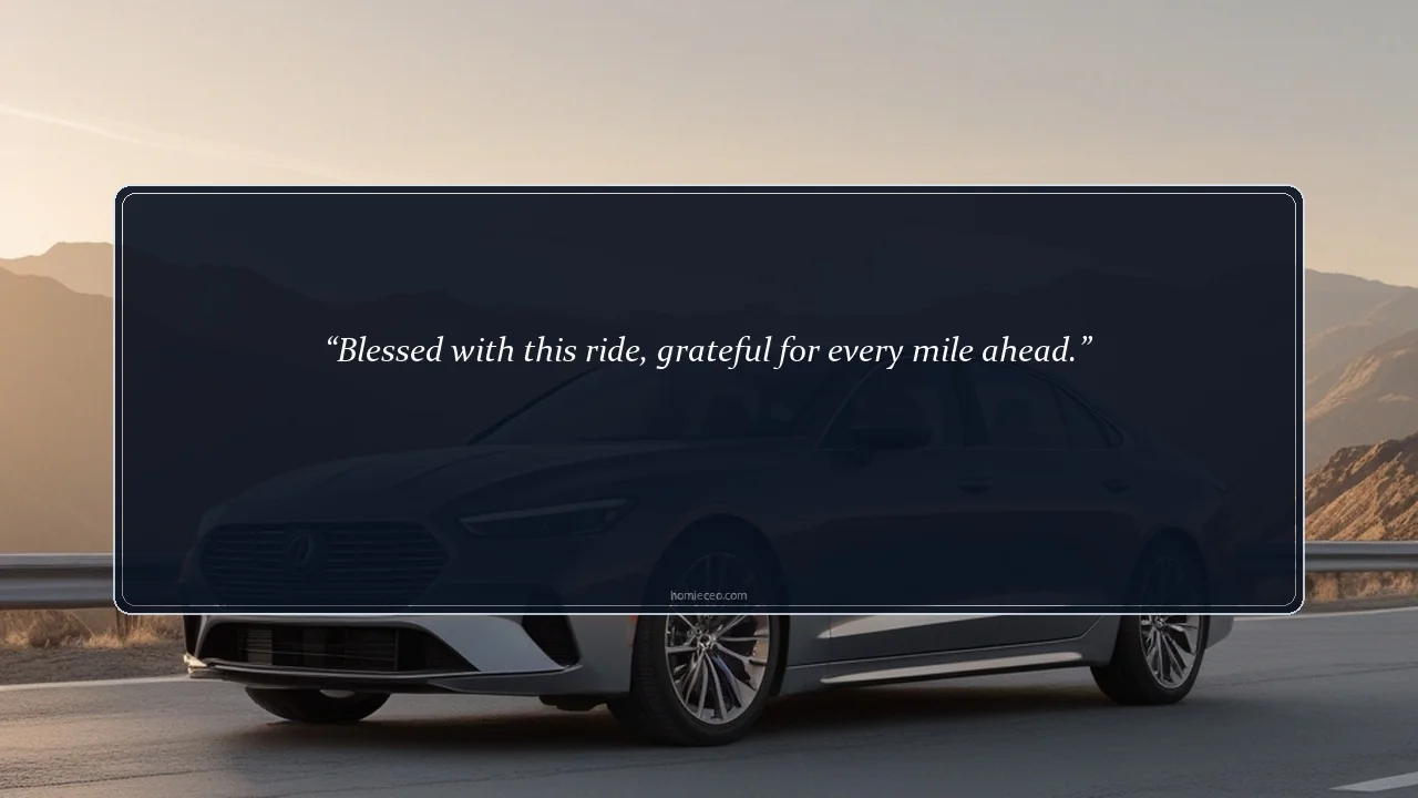 Thankful New Car Lines for Instagram - New Car Captions for Instagram